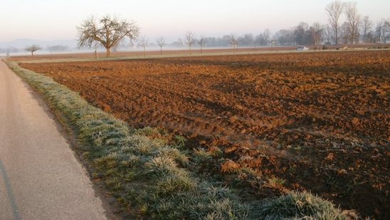 Landschaft Reute