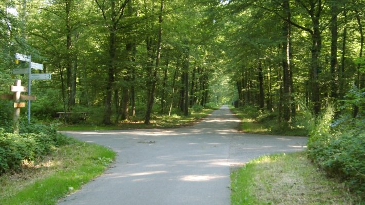 Kreuzweg im Wald bei Reute